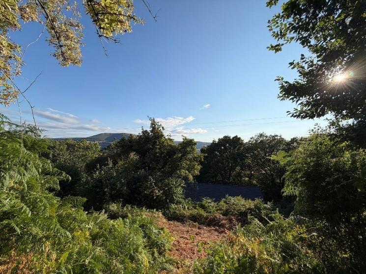 Picture p v view countryside.jpg
