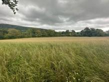 LAND AT CROSS OAK 4.jpg
