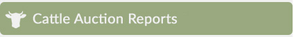 Cattle Auction Reports