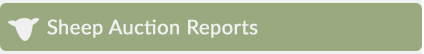 Sheep Auction Reports